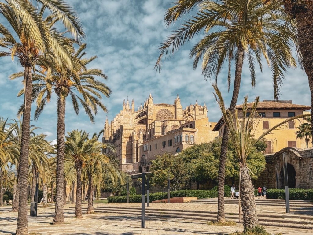 palma hero