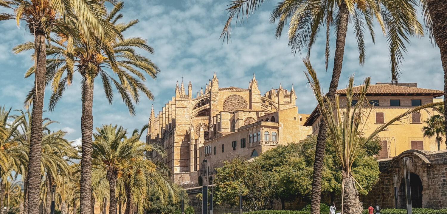 palma hero