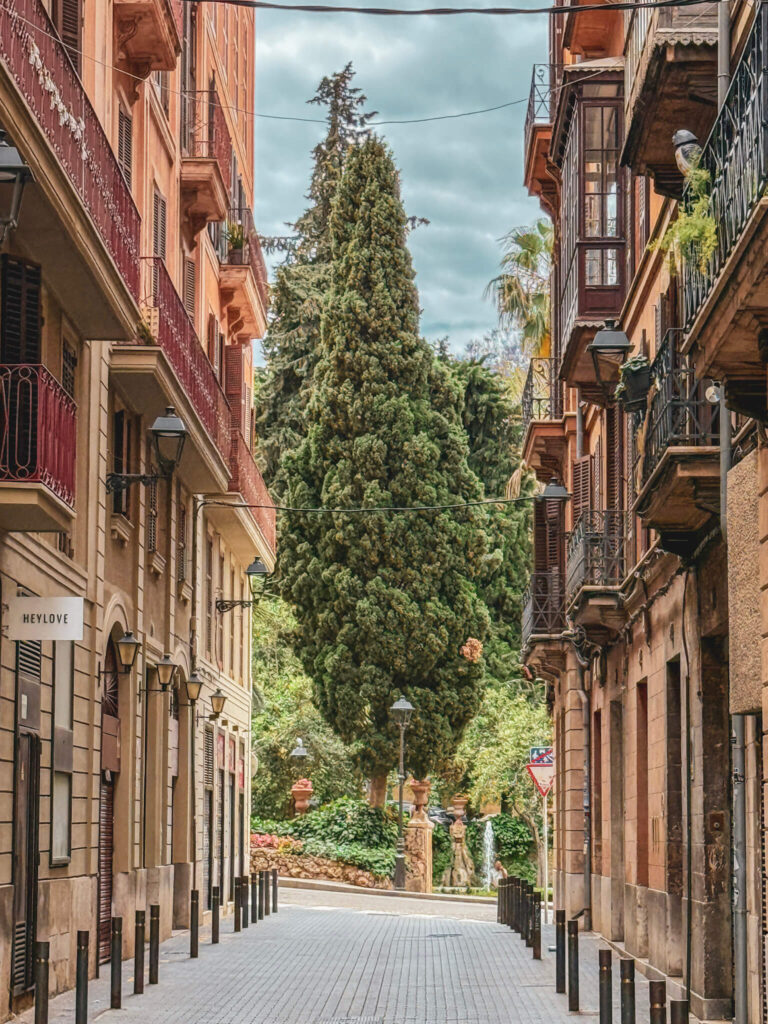 palma