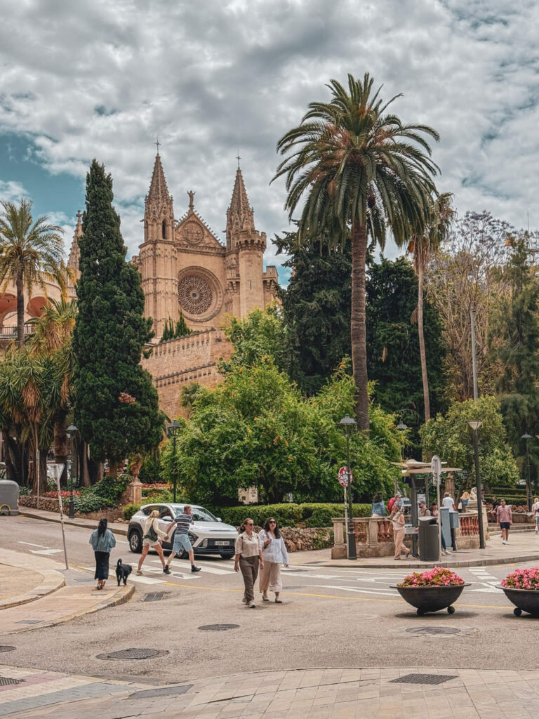 palma