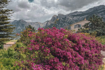 soller hero