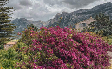 soller hero