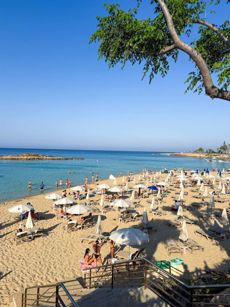 protaras